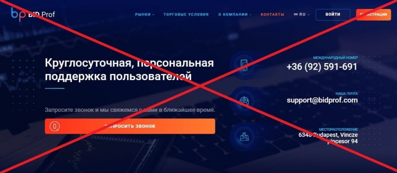 Bid Prof отзывы клиентов — компания bidprof.com - Seoseed.ru