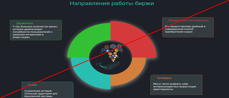 CapitalWhale io отзывы