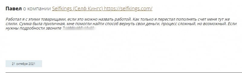 Selfkings: отзывы, основная информация, вывод средств