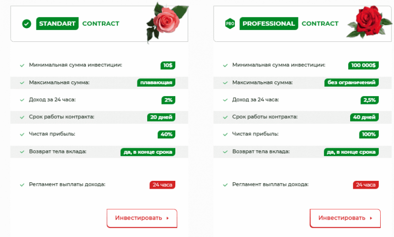 Вся информация о компании Flower Contract 