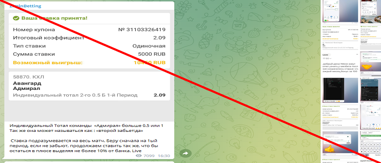 ZiminBetting отзывы телеграмм канала