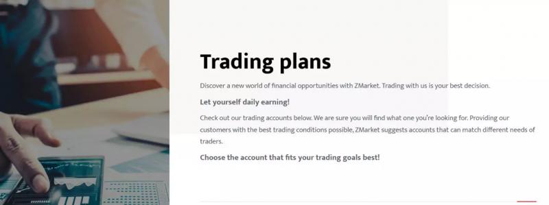Zmarket – инвестировать или отказаться?