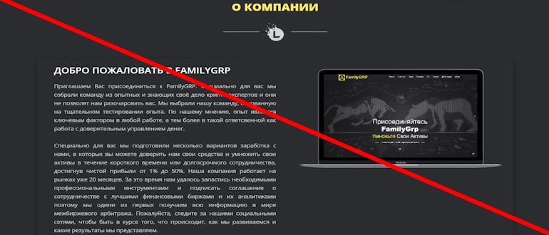 FamilyGrp простой способ заработка, обзор проекта экспертами