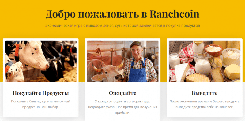 Полный обзор брокера Ranchcoin 