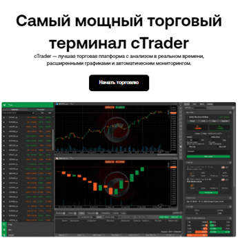 Проект XPBEE — отзывы, разоблачение